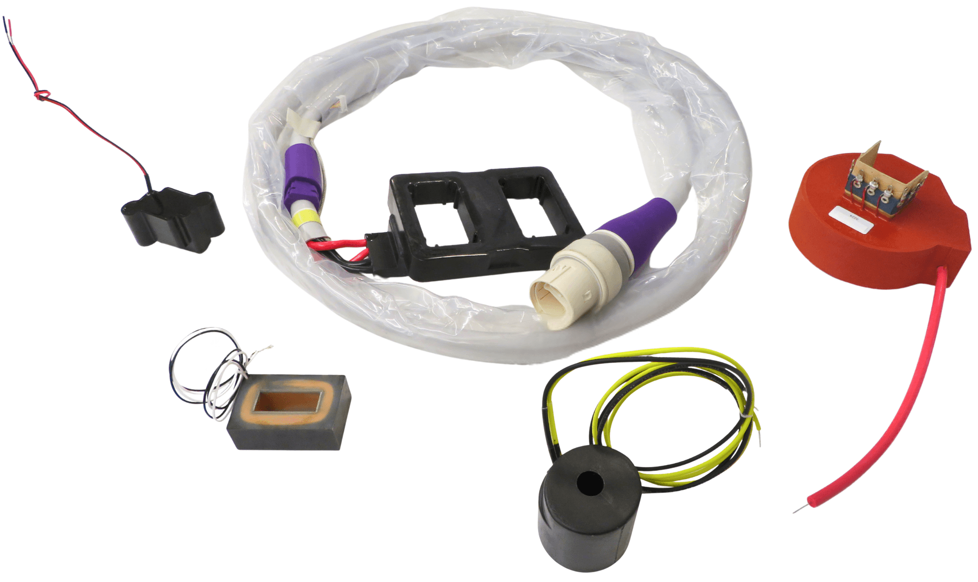 Encapsulated Assemblies